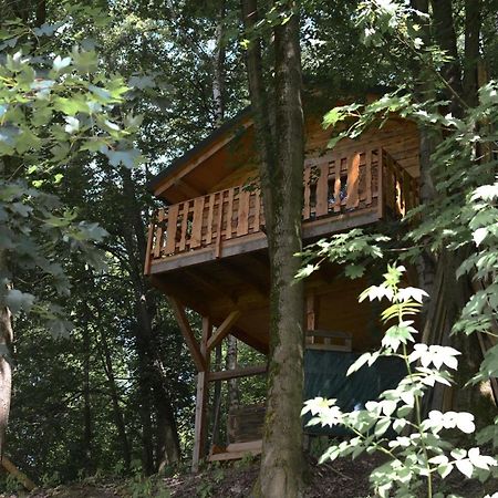 Treehouse Velké Losiny المظهر الخارجي الصورة