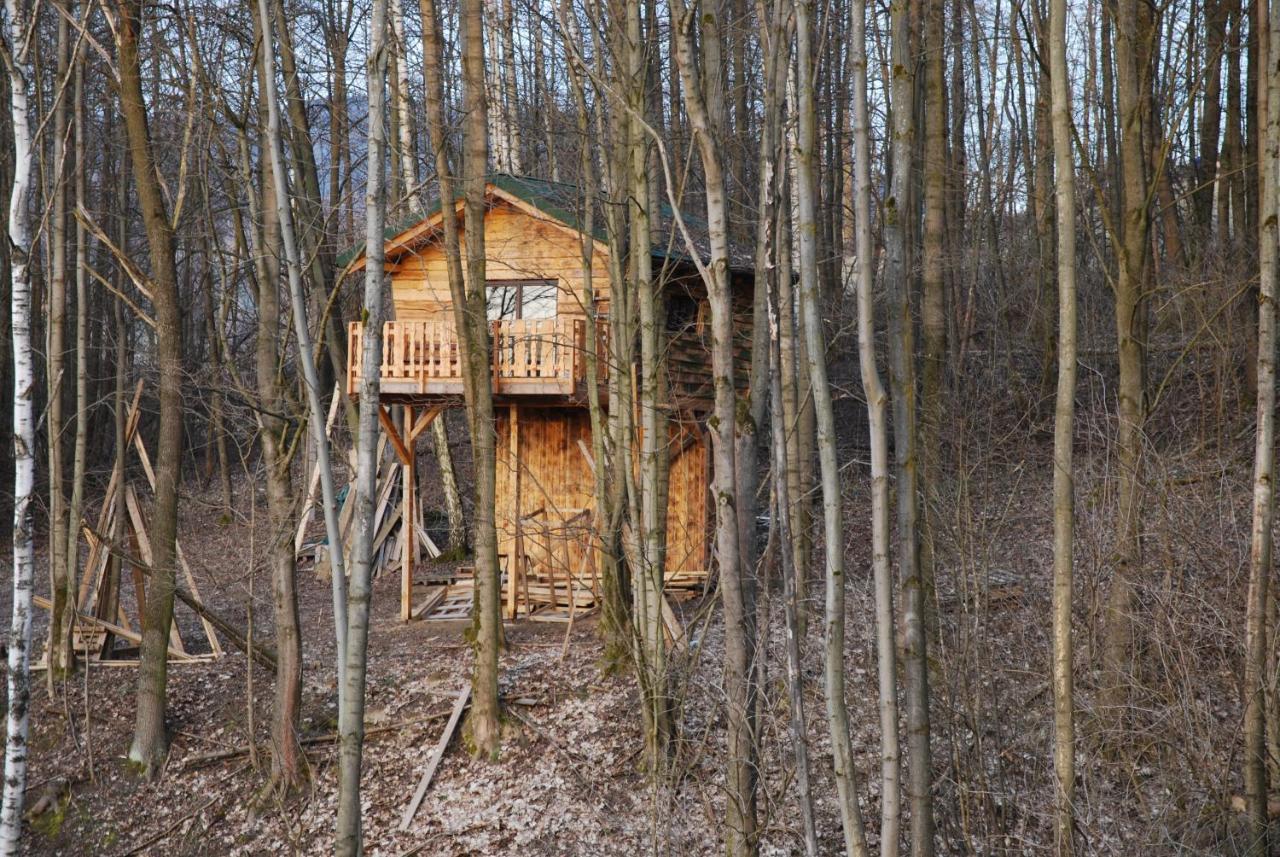 Treehouse Velké Losiny المظهر الخارجي الصورة