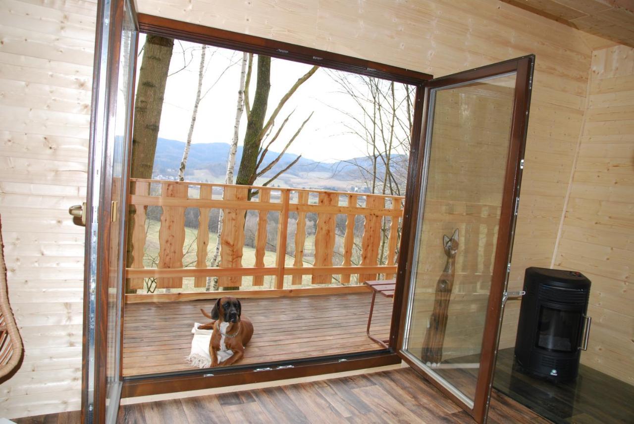Treehouse Velké Losiny المظهر الخارجي الصورة