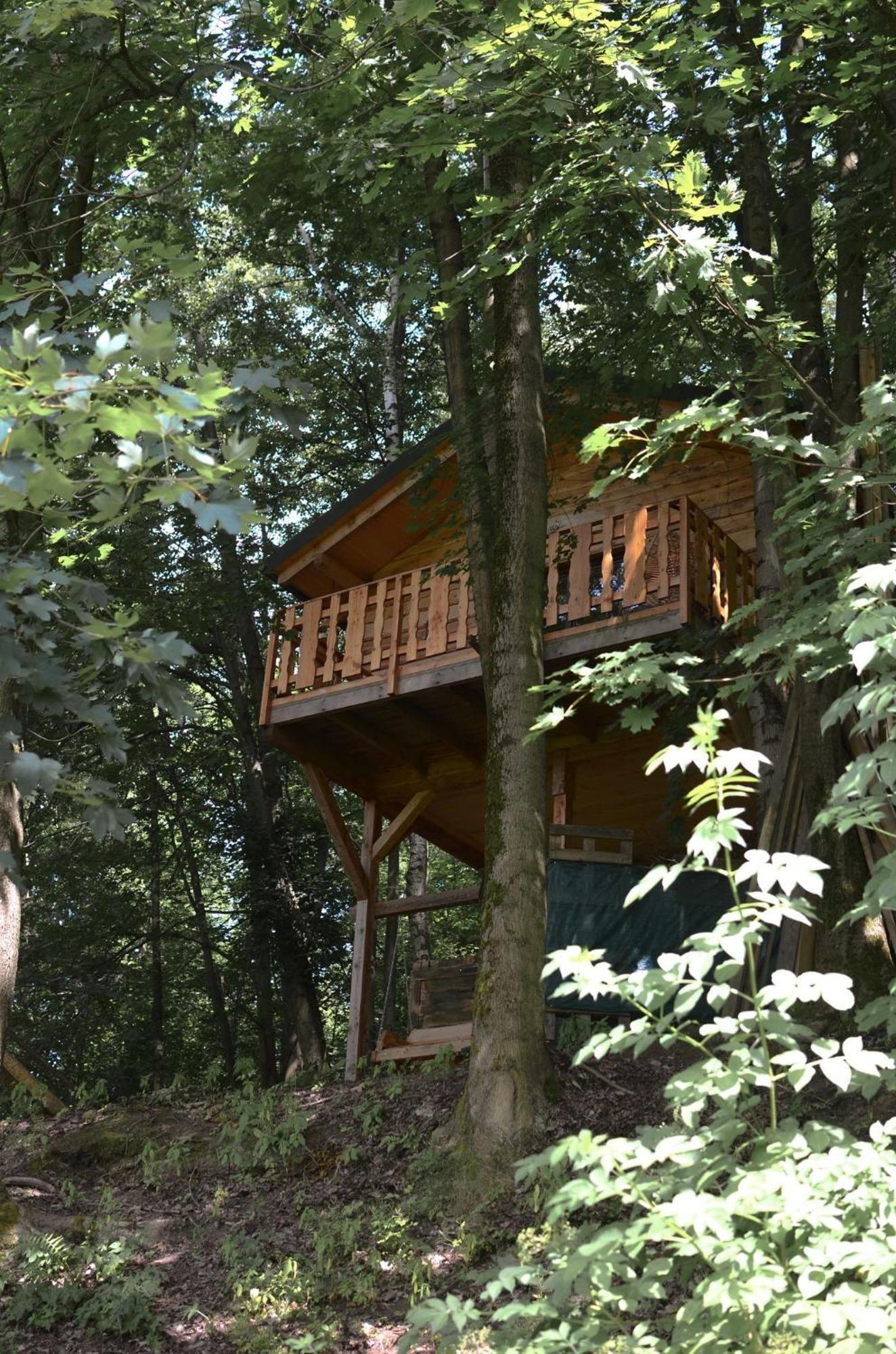 Treehouse Velké Losiny المظهر الخارجي الصورة